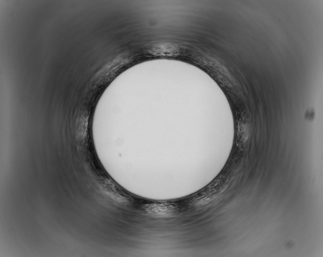 X0000100320652200807031212