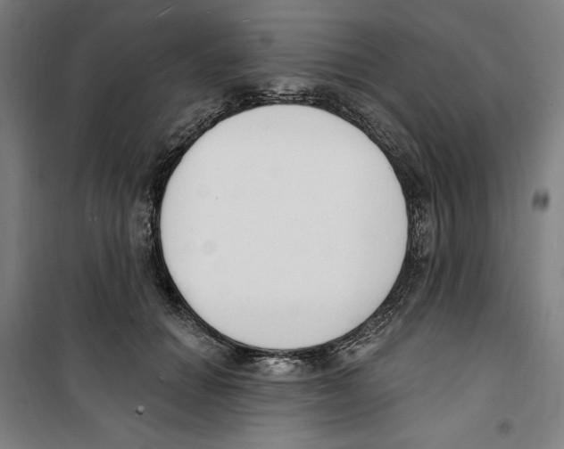 X0000100320654200807031212