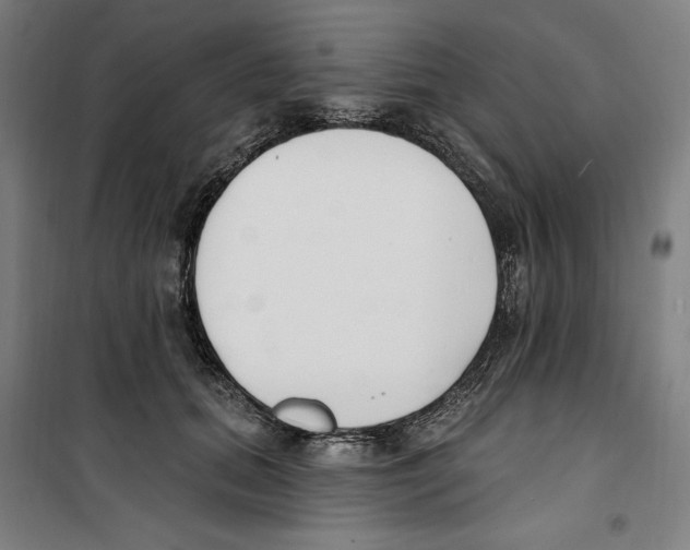 X0000100320655200807031212