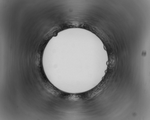 X0000100320656200807031212