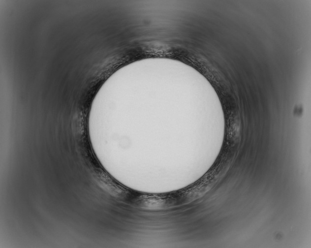 X0000100320658200807031212