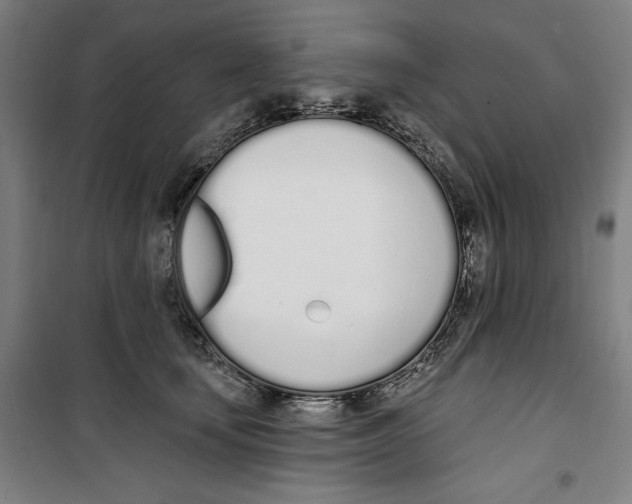 X0000100320659200807031212