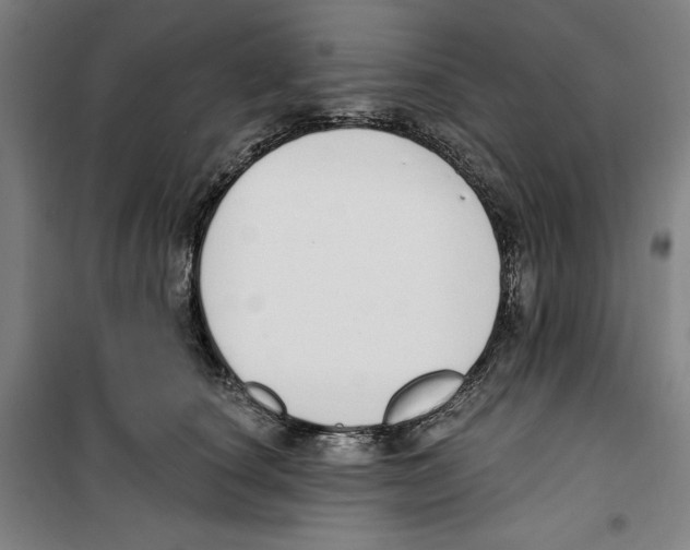 X0000100320660200807031212