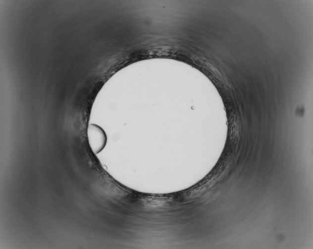 X0000100320661200807031212