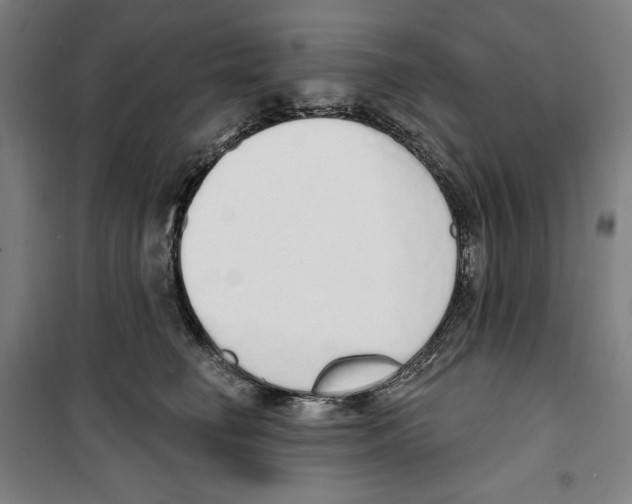 X0000100320662200807031212