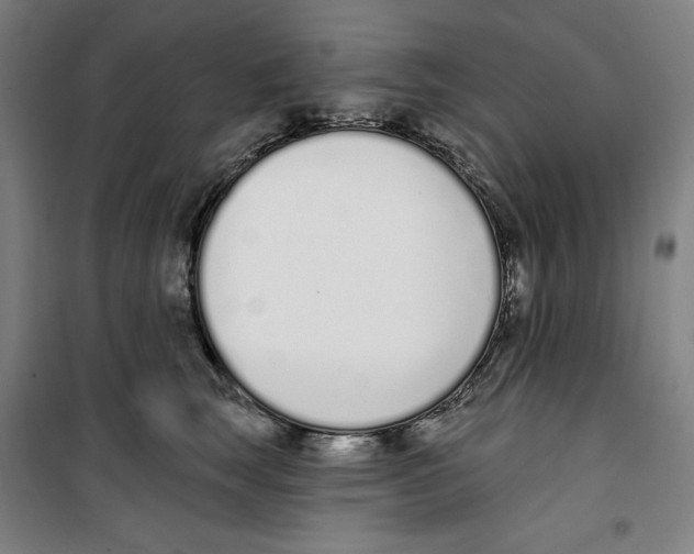 X0000100320663200807031212