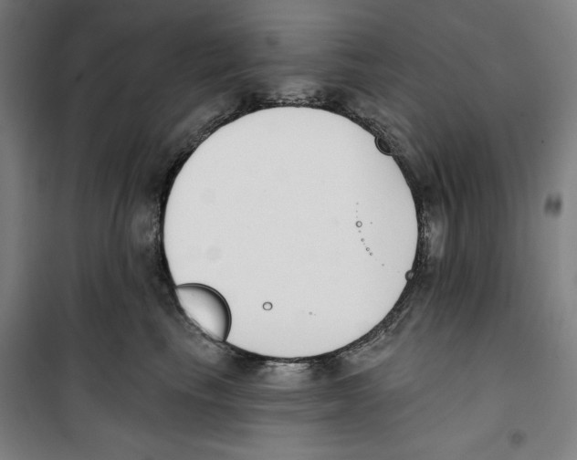 X0000100320665200807031212