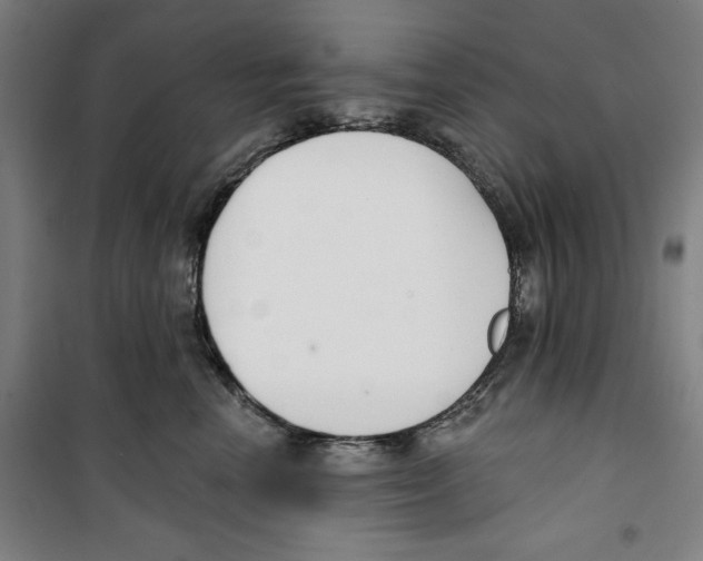 X0000100320666200807031212