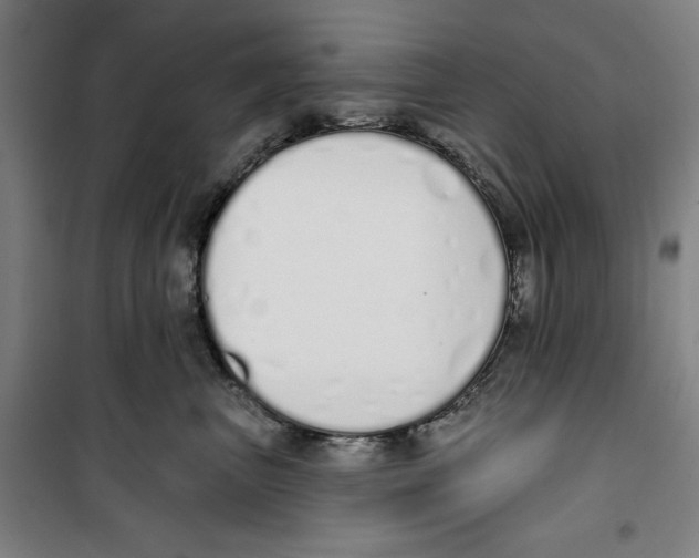 X0000100320667200807031212