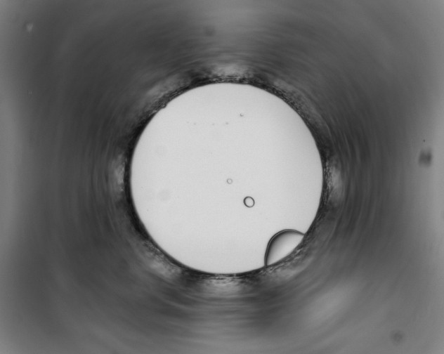 X0000100320668200807031212