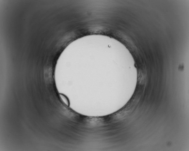 X0000100320670200807031212