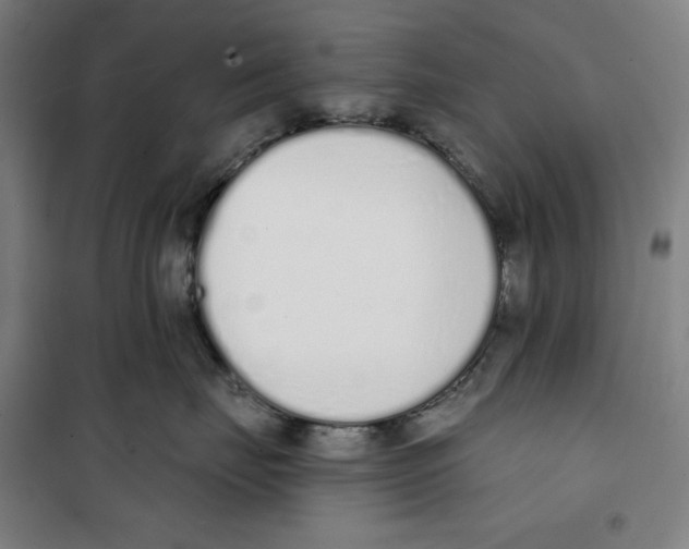 X0000100320671200807031212