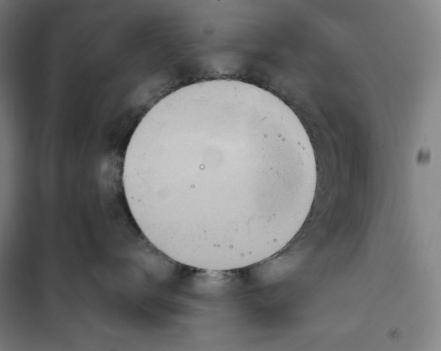 X0000100320672200807031212