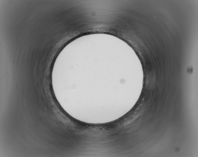 X0000100320673200807031211