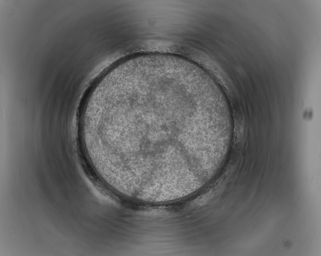 X0000100320674200807031211