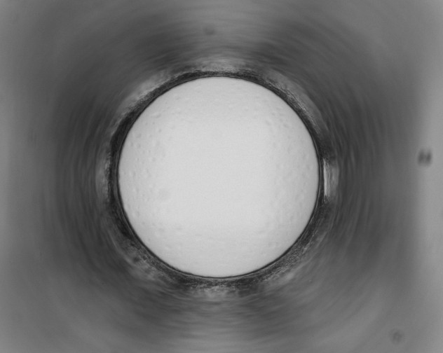 X0000100320675200807031211