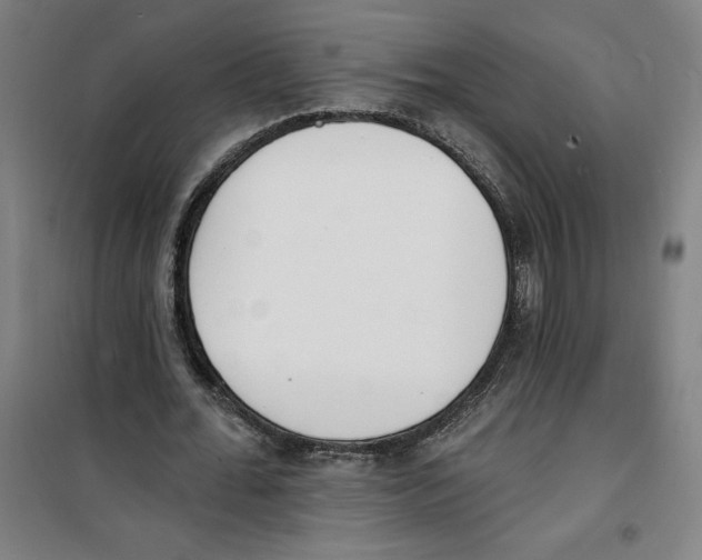 X0000100320676200807031211