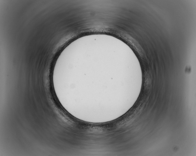 X0000100320677200807031211