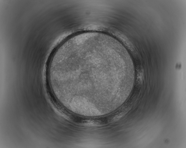 X0000100320678200807031211