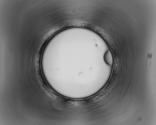 X0000100320679200807031211