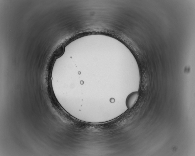 X0000100320680200807031211