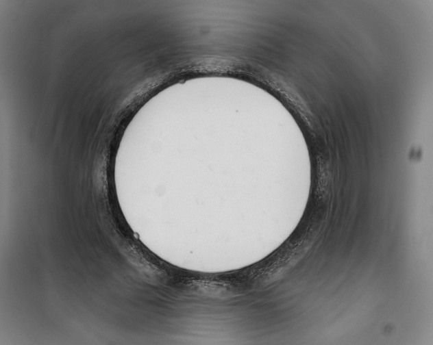 X0000100320681200807031211