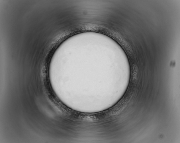 X0000100320683200807031211