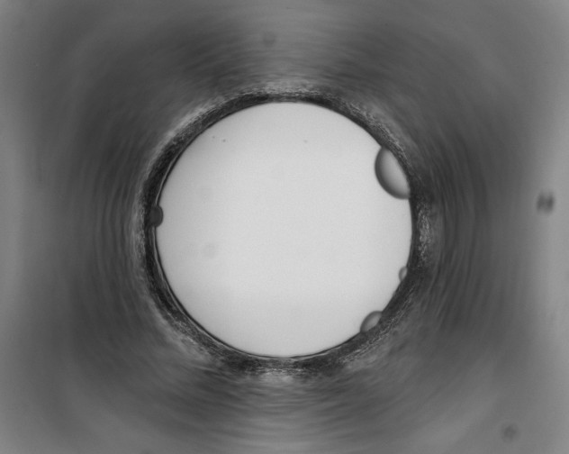 X0000100320684200807031211