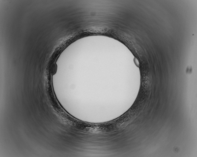 X0000100320688200807031211