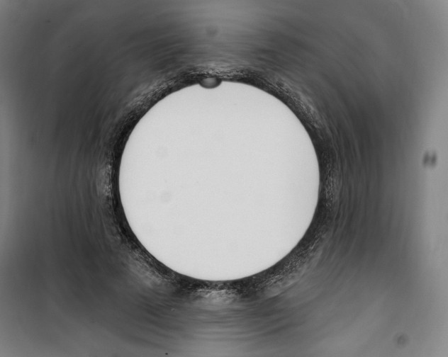 X0000100320689200807031211