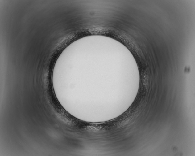 X0000100320690200807031211