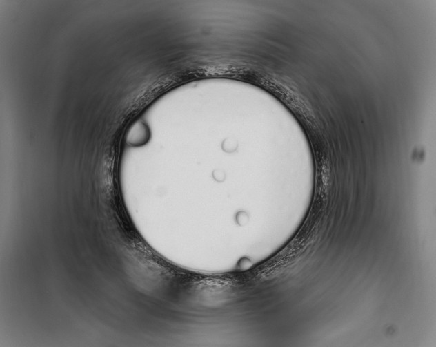 X0000100320691200807031211