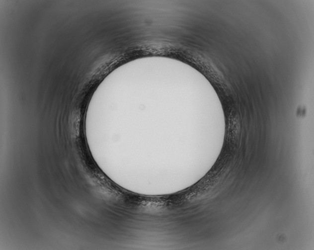 X0000100320694200807031211