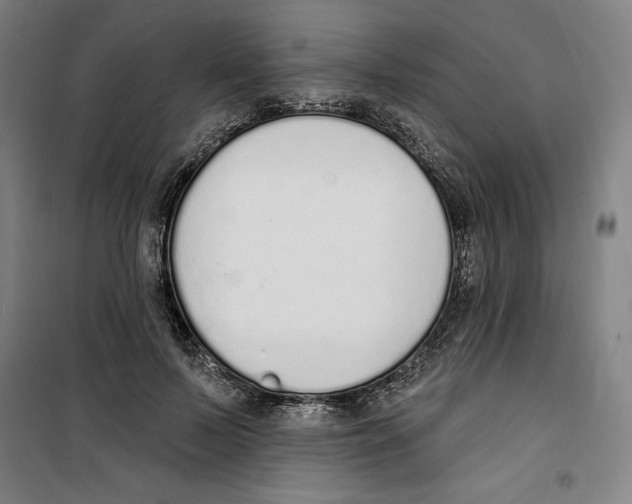 X0000100320695200807031211