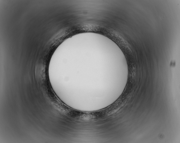 X0000100320696200807031211