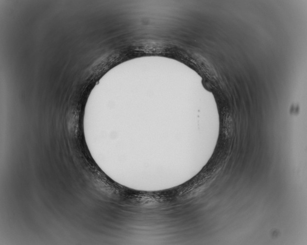 X0000100320697200807031211