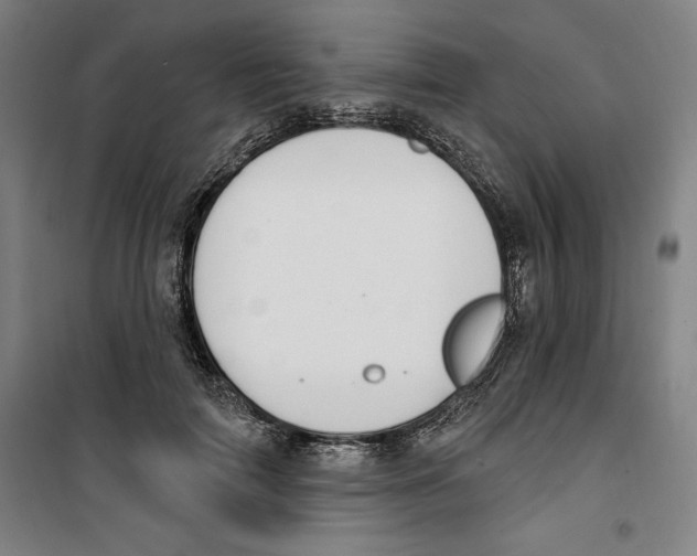 X0000100320698200807031211