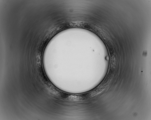 X0000100320699200807031211