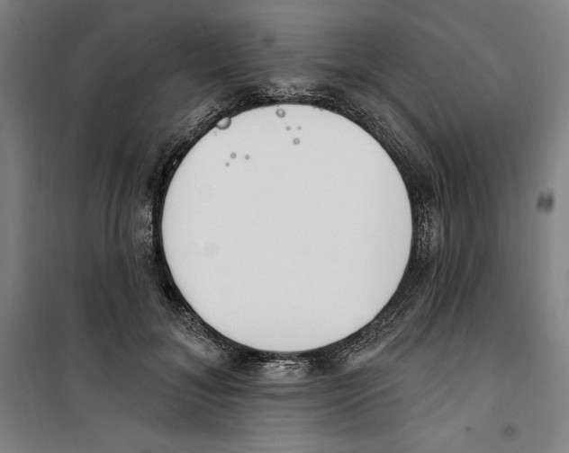 X0000100320700200807031211