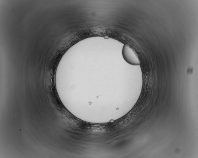 X0000100320702200807031211