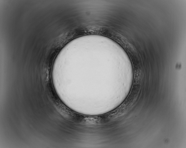 X0000100320703200807031211