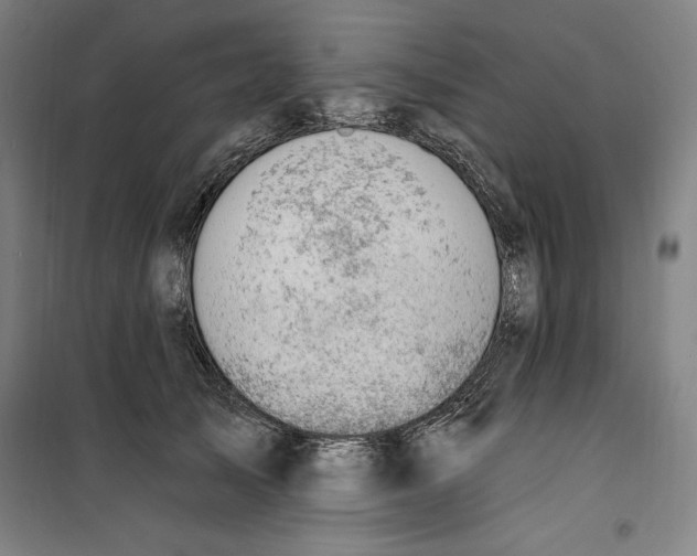 X0000100320705200807031211