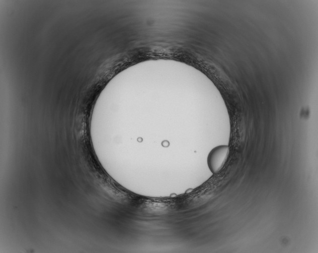 X0000100320706200807031211