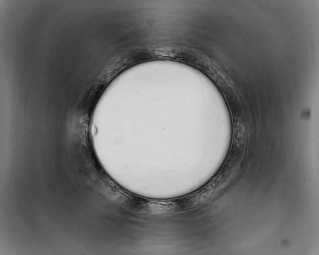 X0000100320707200807031211