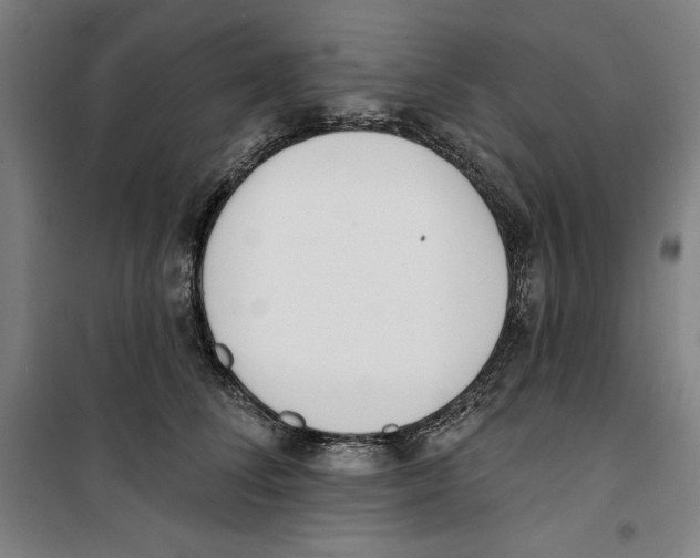 X0000100320708200807031211