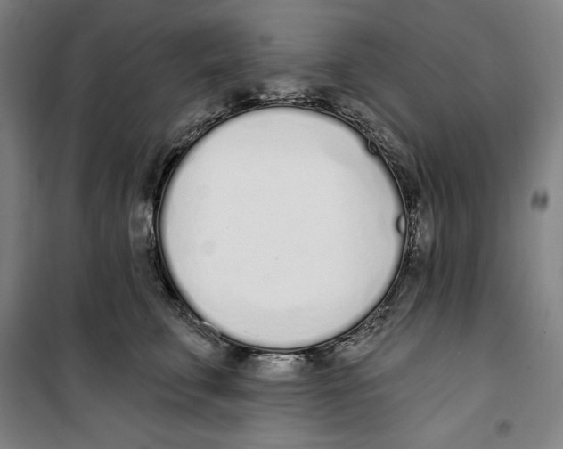 X0000100320711200807031211