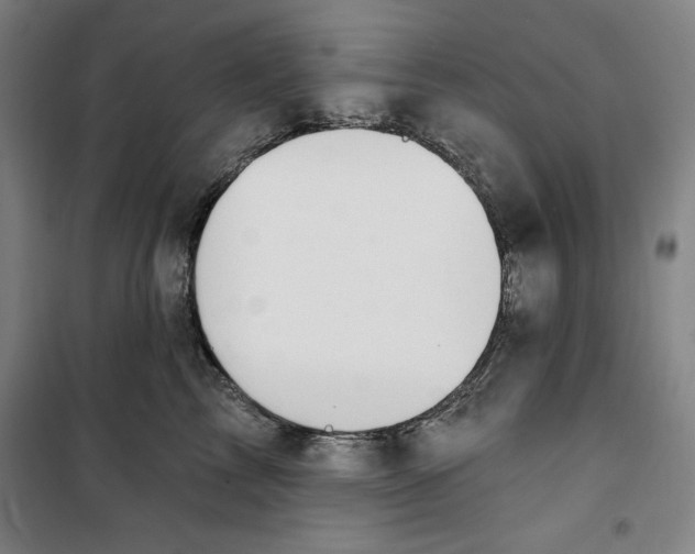 X0000100320713200807031211