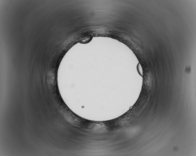 X0000100320715200807031211