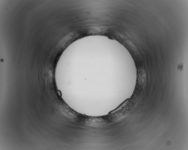 X0000100320716200807031211