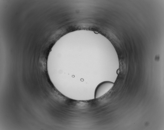 X0000100320718200807031211